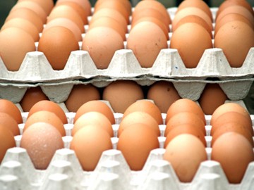 Pericol major: Ouă expirate, reştampilate şi vândute în magazine